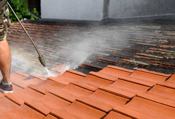 Trusted Ankeny, IA Pressure Washing Experts